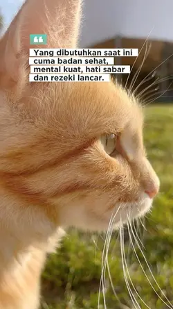 QUOTES 