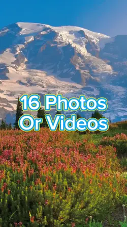 16 Photo Slides