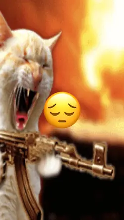 Scary phonk catter
