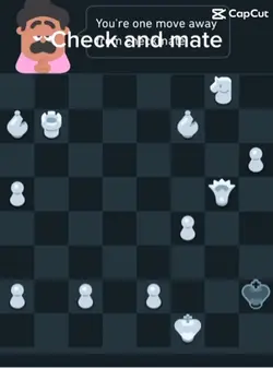 Checkmate