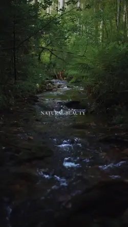natural beauty