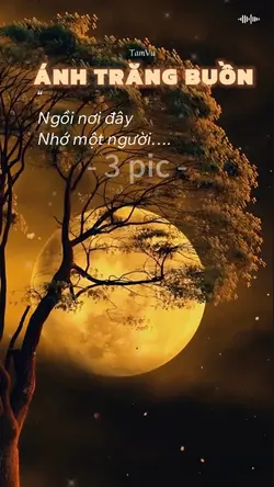 Ánh trăng buồn…