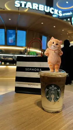 cute cat dance
