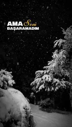 Ama Başaramadım...