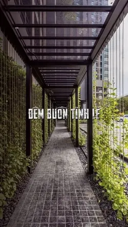 Đêm Buồn Tỉnh Lẻ