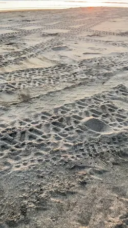 2 video estetik