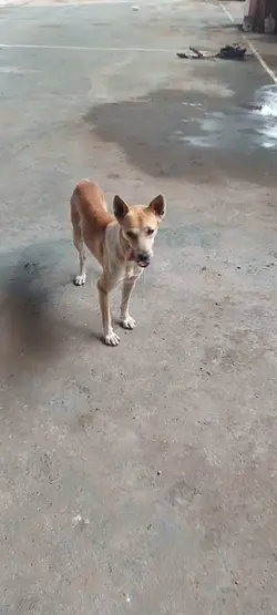 aso naka video ka