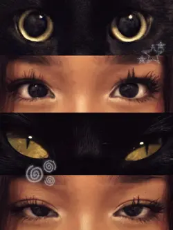 cat’s eye trend œil