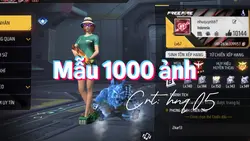 Mẫu 1000 ảnh =))