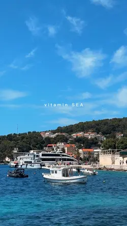 vitamin SEA 🌊