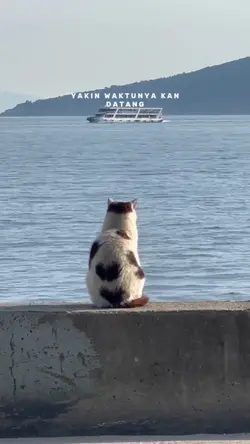 USAHAKAN LAGI YA