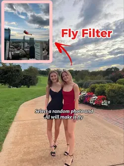 Fly Filter