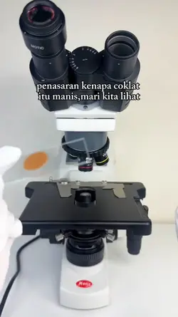 coklat di mikroskop 