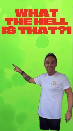 What is THAT?! 