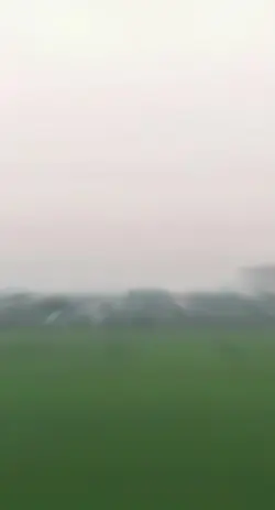Thật Là Cảm Ơn...