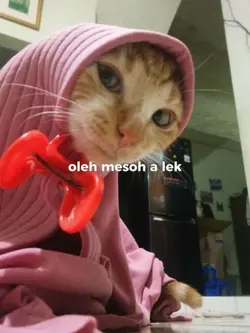 Nek logor Yo opo lek