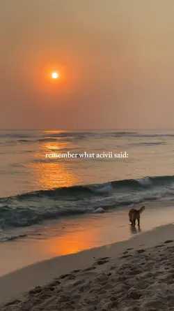 remember what acivii