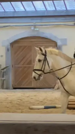 OLD VIDEO!!!