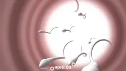 happy birthday earth