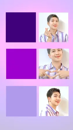 BTS RM Version
