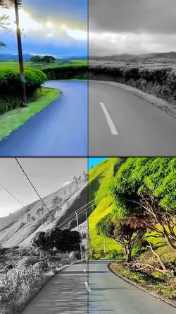 split screen video 