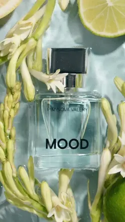 New Product