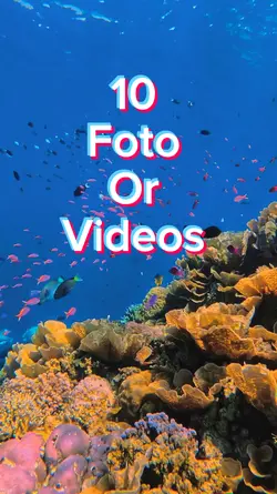 10 Foto Slides