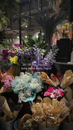 Mẫu 20/10