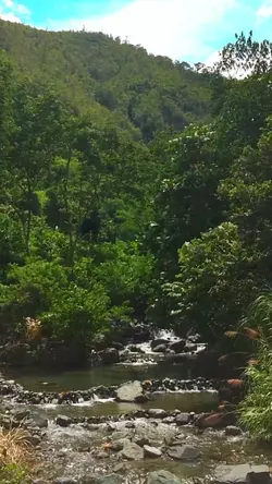 Nature trip