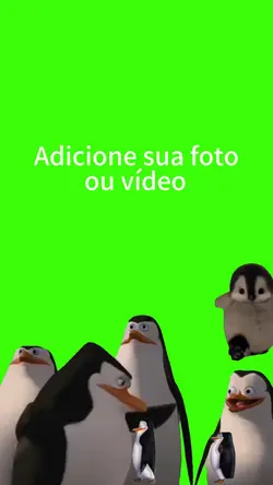 Pinguin.