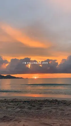 fall in love again