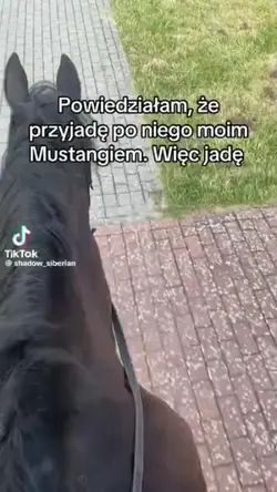 niezły mustang 