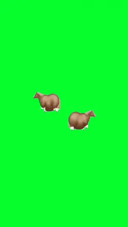 horse stickers