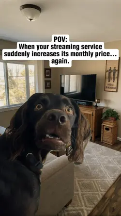 Subscription Shock