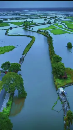 kerala
