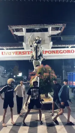 foto live woody