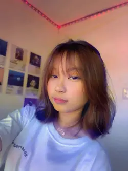 Stopmotion 