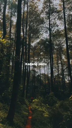 Petir Dalam Hutan