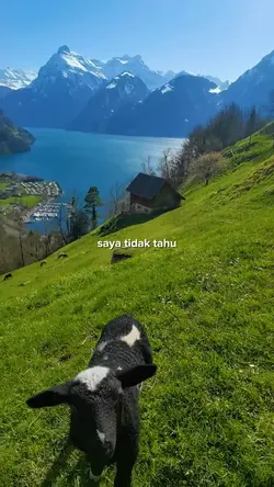 Saya tidak tahu