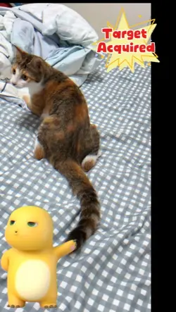 cat