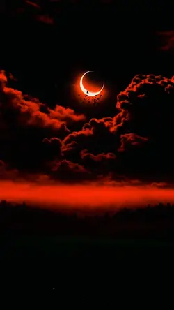 BLACK RED 