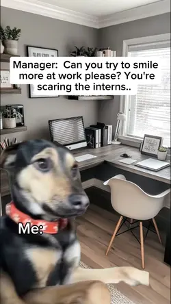 meme