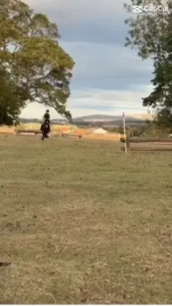 Boing boing boing!