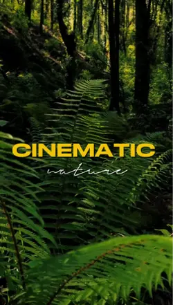CINEMATIC