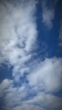 歌詞動画