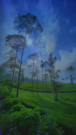 slowmotion blue 