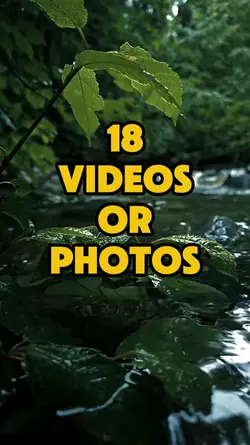 nature vibes