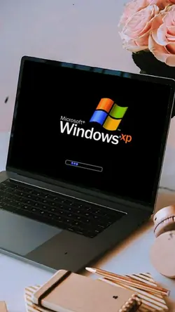 windows xp 