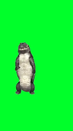 Dancing Crocodile