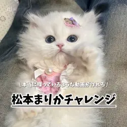 松本まりかチャレンジ